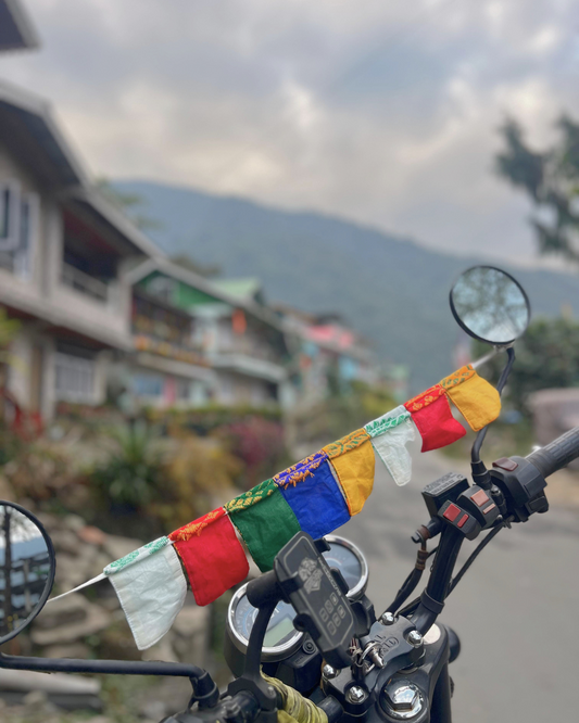 Aronai Bike Buntings