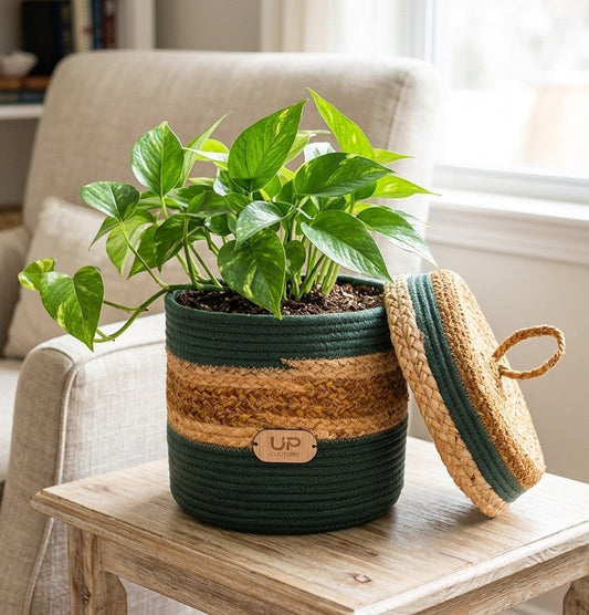 Heritage Basket/Planter
