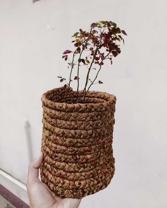 Upcycled Planters